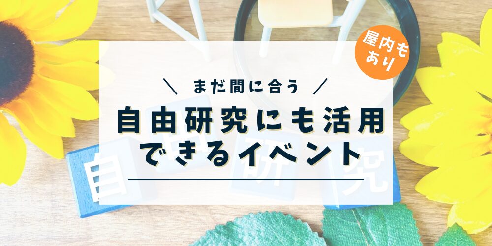 自由研究にも活用できるイベント一覧ページ